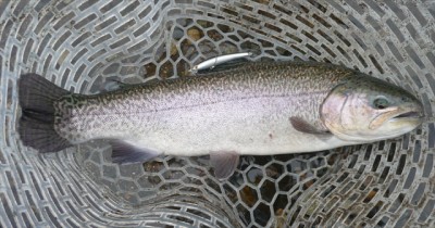 プロショップオオツカ・バスフィッシング用品専門通販サイト ブログ写真 2009/11/19