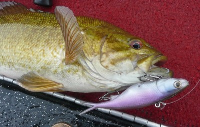 プロショップオオツカ・バスフィッシング用品専門通販サイト ブログ写真 2009/11/19