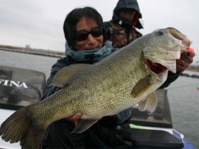 プロショップオオツカ バスフィッシング用品ネット通信販売 ブログ写真 2010/04/01