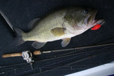 プロショップオオツカ バスフィッシング用品ネット通信販売 ブログ写真 2010/04/01