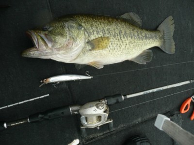 プロショップオオツカ バスフィッシング用品ネット通信販売 ブログ写真 2010/04/01