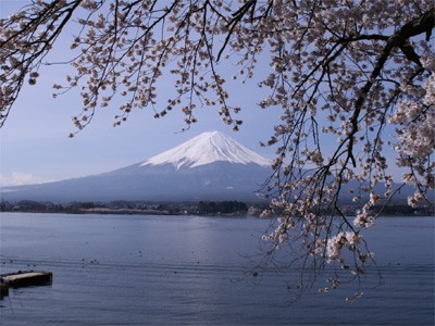 プロショップオオツカ バスフィッシング用品ネット通信販売 ブログ写真 2010/04/19