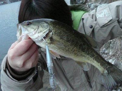 プロショップオオツカ バスフィッシング用品ネット通信販売 ブログ写真 2010/04/19