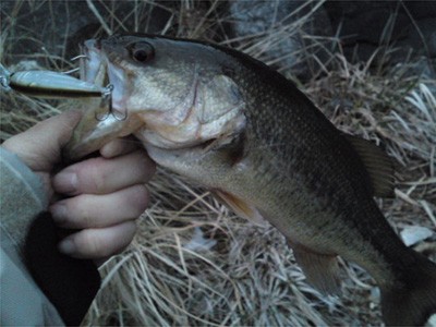 プロショップオオツカ バスフィッシング用品ネット通信販売 ブログ写真 2010/04/19