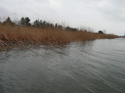 プロショップオオツカ バスフィッシング用品ネット通信販売 ブログ写真 2010/04/30