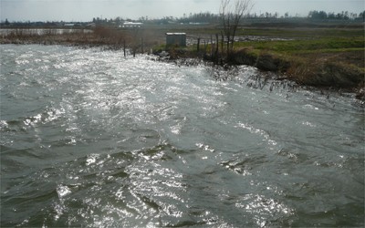 プロショップオオツカ バスフィッシング用品ネット通信販売 ブログ写真 2010/04/30