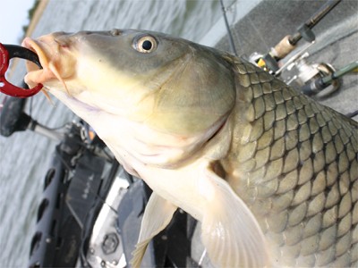 プロショップオオツカ バスフィッシング用品ネット通信販売 ブログ写真 2010/04/30