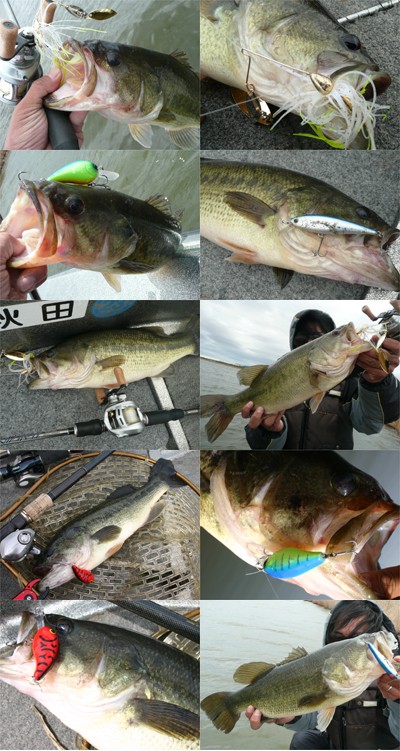 プロショップオオツカ バスフィッシング用品ネット通信販売 ブログ写真 2010/04/30