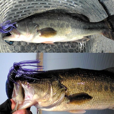 プロショップオオツカ バスフィッシング用品ネット通信販売 ブログ写真 2010/04/30