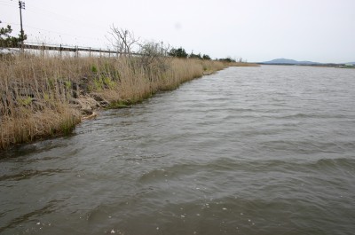 プロショップオオツカ バスフィッシング用品ネット通信販売 ブログ写真 2010/05/12