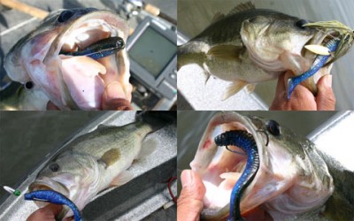 プロショップオオツカ バスフィッシング用品ネット通信販売 ブログ写真 2010/05/12