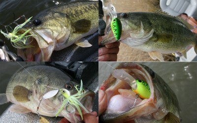 プロショップオオツカ バスフィッシング用品ネット通信販売 ブログ写真 2010/05/12