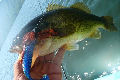 プロショップオオツカ バスフィッシング用品ネット通信販売 ブログ写真 2010/05/21