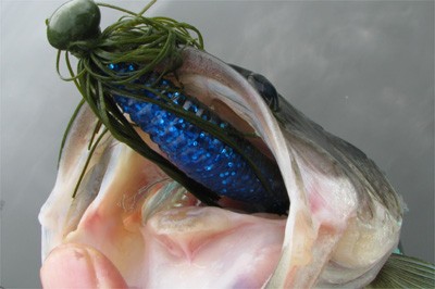 プロショップオオツカ バスフィッシング用品ネット通信販売 ブログ写真 2010/05/21