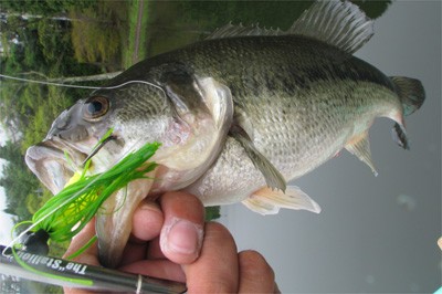 プロショップオオツカ バスフィッシング用品ネット通信販売 ブログ写真 2010/05/21