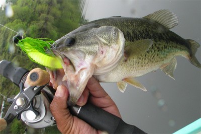 プロショップオオツカ バスフィッシング用品ネット通信販売 ブログ写真 2010/05/21