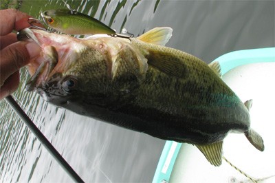 プロショップオオツカ バスフィッシング用品ネット通信販売 ブログ写真 2010/05/21