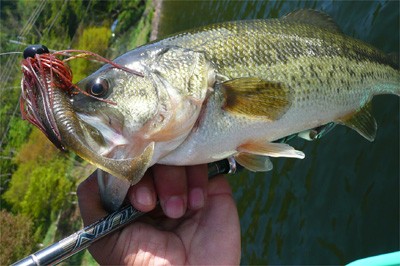 プロショップオオツカ バスフィッシング用品ネット通信販売 ブログ写真 2010/05/21