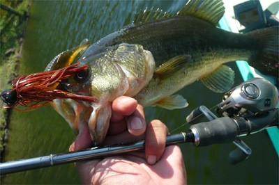 プロショップオオツカ バスフィッシング用品ネット通信販売 ブログ写真 2010/05/21