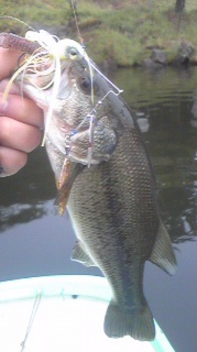 プロショップオオツカ バスフィッシング用品ネット通信販売 ブログ写真 2010/05/22