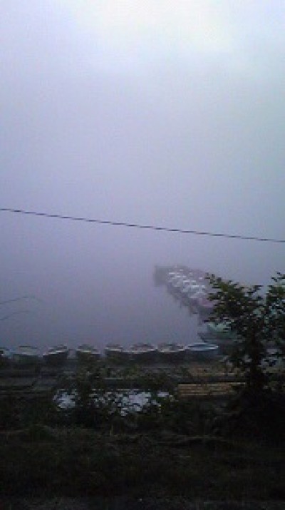 プロショップオオツカ バスフィッシング用品ネット通信販売 ブログ写真 2010/05/22