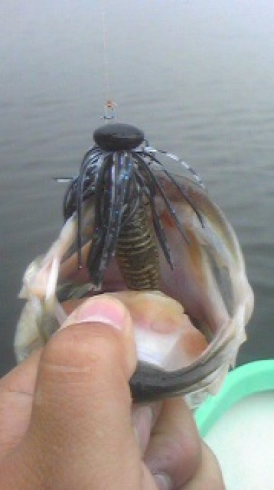 プロショップオオツカ バスフィッシング用品ネット通信販売 ブログ写真 2010/05/22