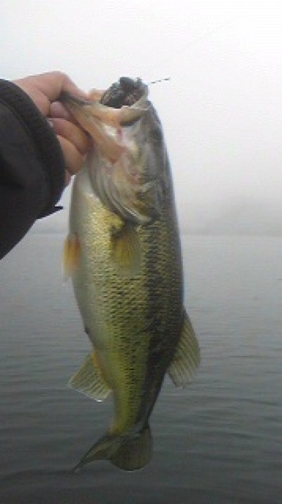 プロショップオオツカ バスフィッシング用品ネット通信販売 ブログ写真 2010/05/22