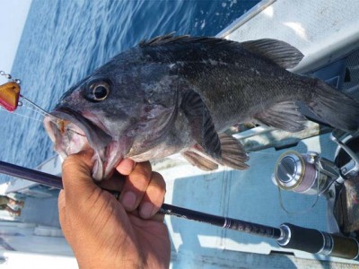 プロショップオオツカ バスフィッシング用品ネット通信販売 ブログ写真 2010/07/28