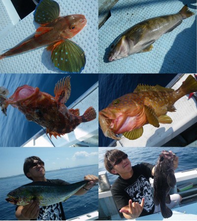 プロショップオオツカ バスフィッシング用品ネット通信販売 ブログ写真 2010/07/28