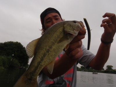 プロショップオオツカ バスフィッシング用品ネット通信販売 ブログ写真 2010/08/14