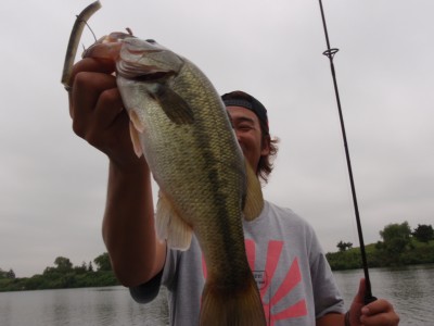 プロショップオオツカ バスフィッシング用品ネット通信販売 ブログ写真 2010/08/14