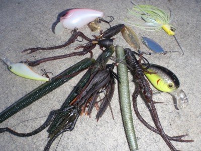 プロショップオオツカ バスフィッシング用品ネット通信販売 ブログ写真 2010/08/25