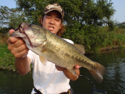 プロショップオオツカ バスフィッシング用品ネット通信販売 ブログ写真 2010/08/25