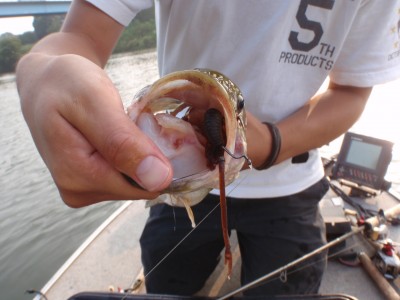 プロショップオオツカ バスフィッシング用品ネット通信販売 ブログ写真 2010/08/25