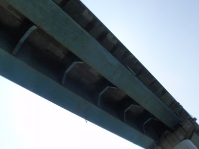 プロショップオオツカ バスフィッシング用品ネット通信販売 ブログ写真 2010/08/25