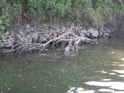 プロショップオオツカ バスフィッシング用品ネット通信販売 ブログ写真 2010/08/25