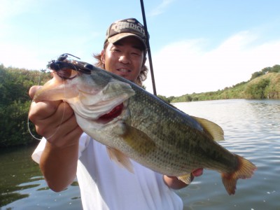 プロショップオオツカ バスフィッシング用品ネット通信販売 ブログ写真 2010/09/08