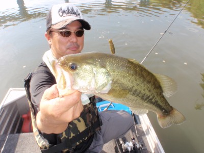 プロショップオオツカ バスフィッシング用品ネット通信販売 ブログ写真 2010/09/08