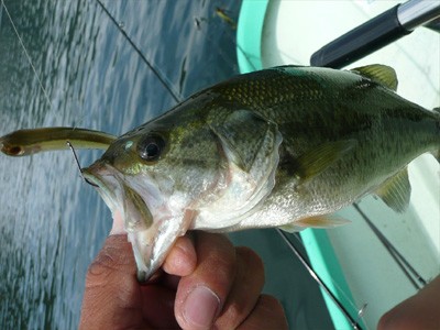 プロショップオオツカ バスフィッシング用品ネット通信販売 ブログ写真 2010/09/22