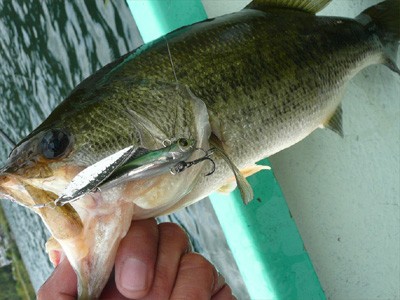 プロショップオオツカ バスフィッシング用品ネット通信販売 ブログ写真 2010/09/22