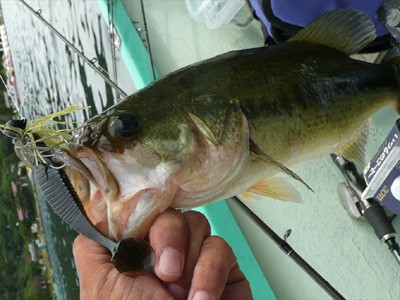 プロショップオオツカ バスフィッシング用品ネット通信販売 ブログ写真 2010/09/22