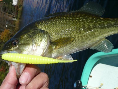 プロショップオオツカ バスフィッシング用品ネット通信販売 ブログ写真 2010/11/05