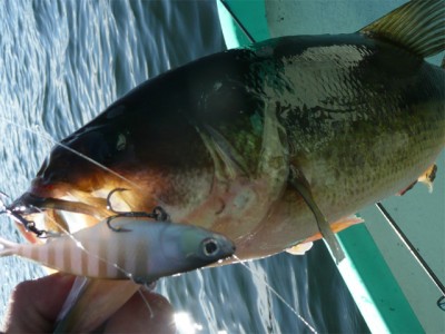 プロショップオオツカ バスフィッシング用品ネット通信販売 ブログ写真 2010/11/05