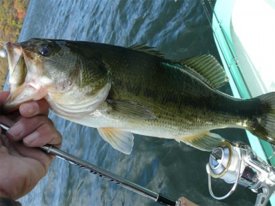 プロショップオオツカ バスフィッシング用品ネット通信販売 ブログ写真 2010/11/05