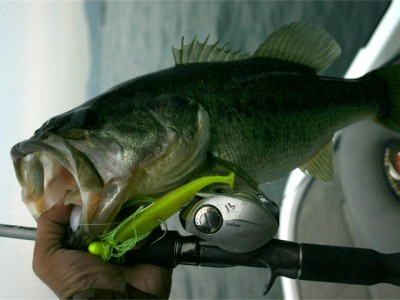 プロショップオオツカ バスフィッシング用品ネット通信販売 ブログ写真 2010/12/01