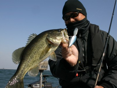 プロショップオオツカ バスフィッシング用品ネット通信販売 ブログ写真 2010/12/01