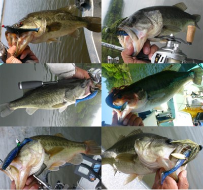 プロショップオオツカ バスフィッシング用品ネット通信販売 ブログ写真 2010/12/25