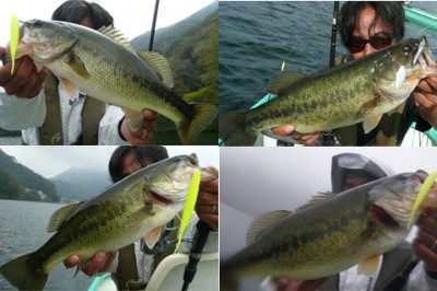 プロショップオオツカ バスフィッシング用品ネット通信販売 ブログ写真 2010/12/25