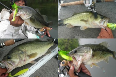 プロショップオオツカ バスフィッシング用品ネット通信販売 ブログ写真 2010/12/25