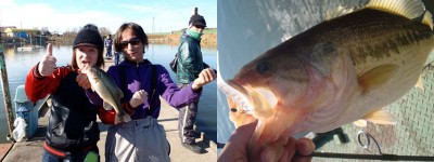 プロショップオオツカ バスフィッシング用品ネット通信販売 ブログ写真 2011/01/03